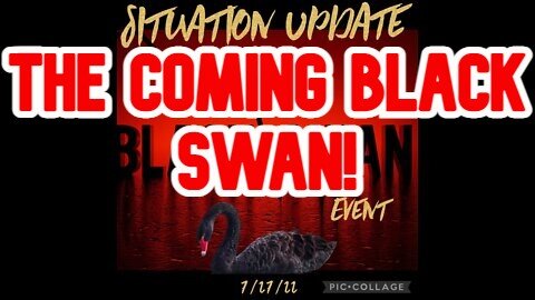 Situation Update 7/27/22: The Coming Black Swan! FBI Corruption Exposed!