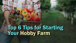 Top 6 Tips for Starting Your Hobby Farm