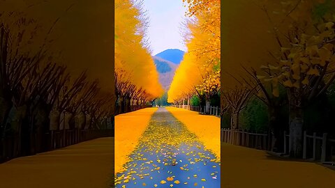 poetic autumn road #beautifulmusic