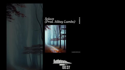 Solace ~ Emotional Boom Bap Type Beat (Prod. Mikey Lambo)