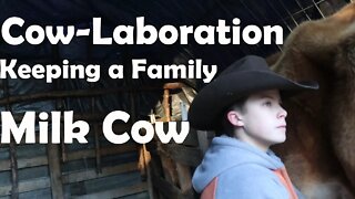 Milking//Easy Home Dairy Recipes//Farmboys Interview