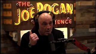 Joe Rogan: Florida Shows Lockdowns Don't Work