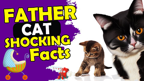 10 SHOCKING FACTS ABOUT FATHER CATS ( #4 is Insane )