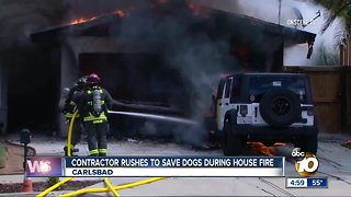 Firefighter burned, dog dies in Carlsbad house fire