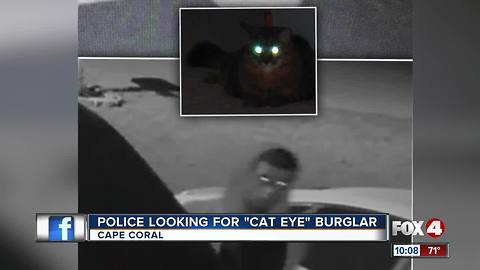 Cat-eyes burglar on the run