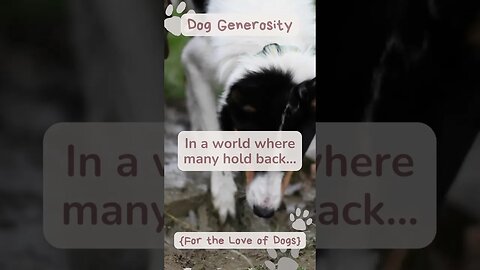 Dog Generosity