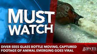 Diver Sees Glass Bottle Moving, Captured Footage Of Animal Emerging Goes Viral