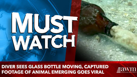 Diver Sees Glass Bottle Moving, Captured Footage Of Animal Emerging Goes Viral