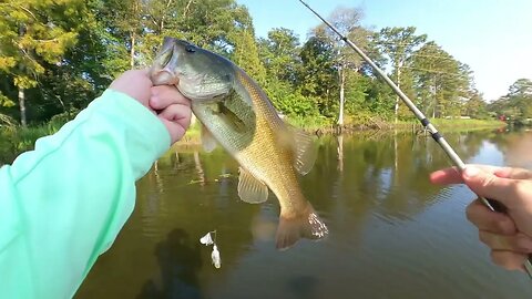 James River Creeks and Topwater Bassin’