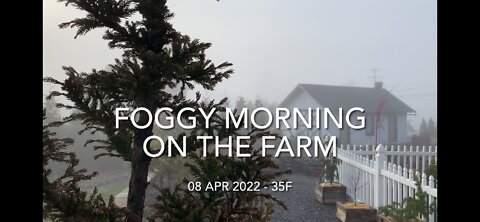 Foggy Morning on the Farm