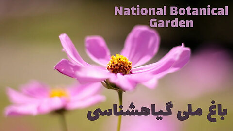 Have you ever been to Tehran National Botanical Garden? Photo of plants, photo by: Alireza Akhlaghi