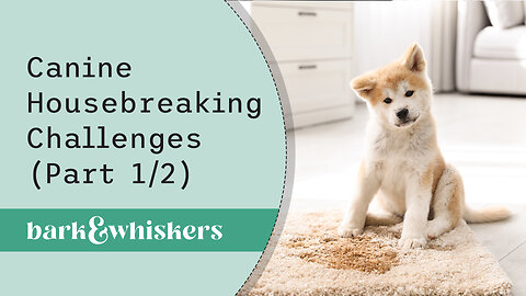 Canine Housebreaking Challenges (Part 1/2)