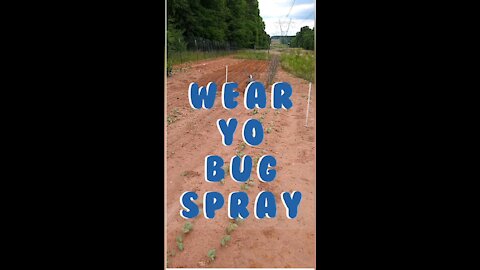 Wear Yo' Bug Spray