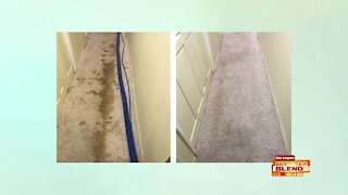 Carpet Cleaning A Step Above The Rest