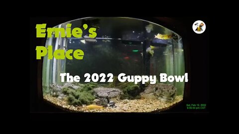 Guppy Bowl 2022