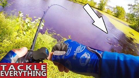 Catch A TON Of BASS With These Techniques...GIVEAWAY!!