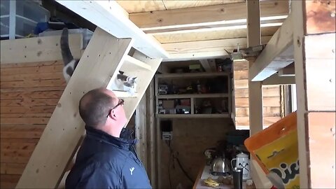 John Returns To The Tiny House Plus Awesome Snow Enhanced Solar