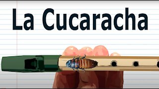 How to Play La Cucaracha on the Tin Whistle