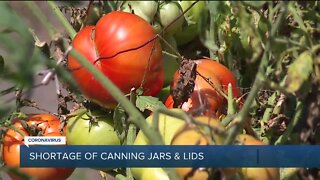 Pandemic forces shortage of canning supplies