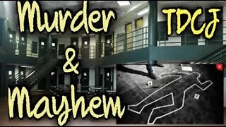 Murder & Mayhem Inside Of The Walls - 17 Homicides This Year And Counting