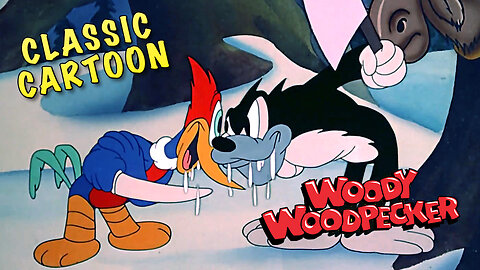 Woody Woodpecker Classic Cartoon "Pantry Panic"