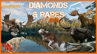 Diamonds & Rares Montage #30 - Console - theHunter: Call of the Wild