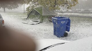 Chicago’s first Migrant winter