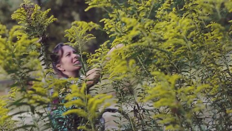 Harvesting Goldenrod (Short Film)
