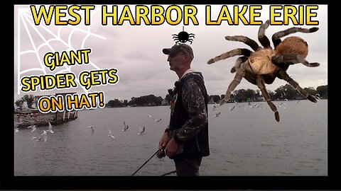 Massive Spider Visits While Bass Fishing West Harbor of Lake Erie