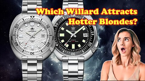 AddiesDive Willard vs. SteelDive Williard. Which is better?