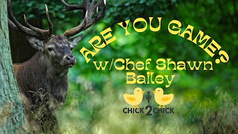 Are you Game with Chef Shawn Bailey