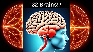 32 Brains in 1 Body!! #consciousness