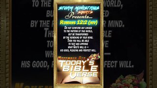 11.08.2022 | STORM MINISTRIES | Daily Bible Verse | ROMANS 12:2 (NIV) | #shorts