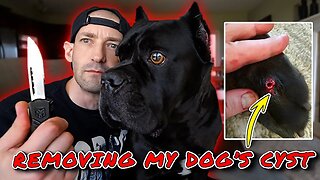 REMOVING My Dog's CYST - Cyst Removal
