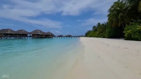 Maldives = Cloud = Tourism = = Walk = through = the = beautiful = natural = scenery = from the firs