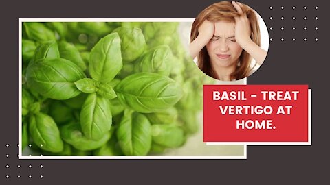 Basil - Treat Vertigo At Home