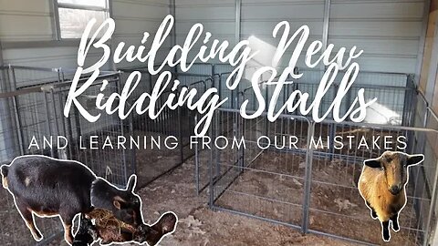 Building the New Goat Kidding Stalls! | Three Little Goats Homestead Vlog