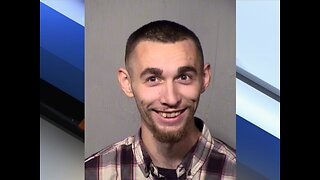Man arrested after throwing puppy "like a baseball" - ABC15 Crime