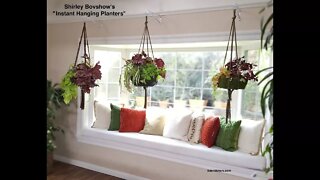 Instant Indoor Hanging Planter-Lightweight