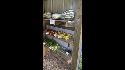 Market Stand 🧑‍🌾 Chamberlin Family Farms #marketstand #freshproduce #farming #homesteading