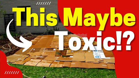 Cardboard Mulch For The Garden. Soil Scientist Breaks Down Cardboard Mulching. Is Cardboard Toxic?!