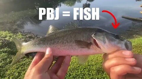 🔥 PEANUT BUTTER JELLY FISHING CHALLENGE! Catching bass with PBJ