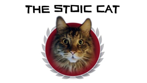 Welcome to The Stoic Cat!