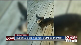 Elderly dog tied up, dumped in Tulsa park