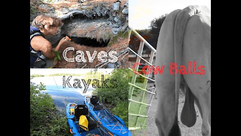 Caves, Kayaks and Cow Balls