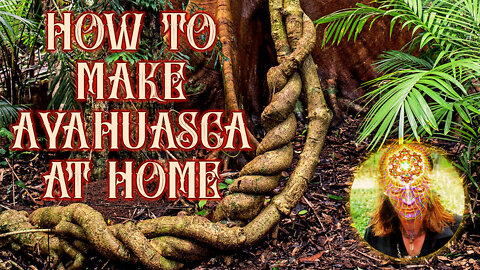 How to Make Ayahuasca, Super Easy!