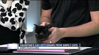 Simply Cats Kittygrams