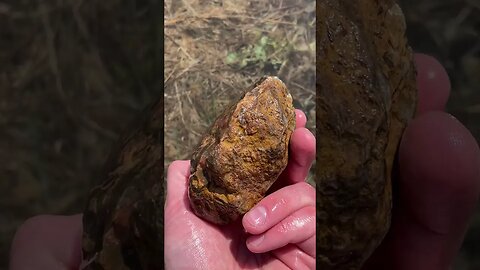 What rock did I find?!