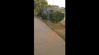 Sarasota 17th Street Softball walkthrough