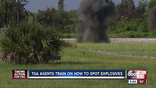 TSA officers train at MacDill on how to spot explosive devices